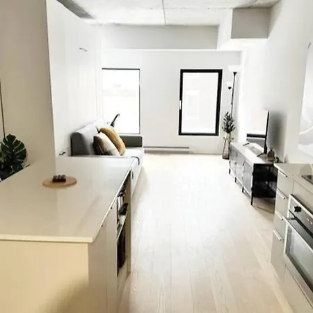 1406 Sainte Elisabeth Apartment Montreal Exterior photo
